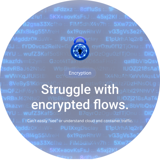 Struggle with encrypted flows.